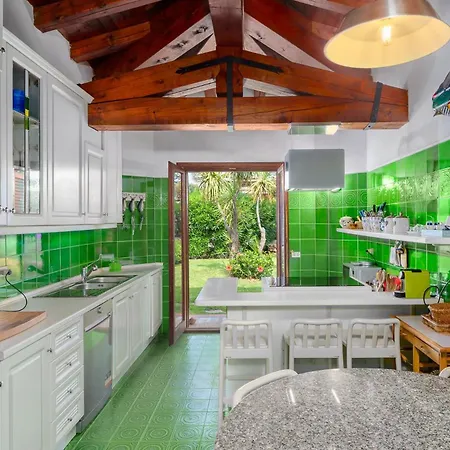 Silenis * Puntaldia